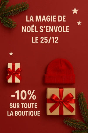 LA_MAGIE_DE_NOEL_S_ENVOLE