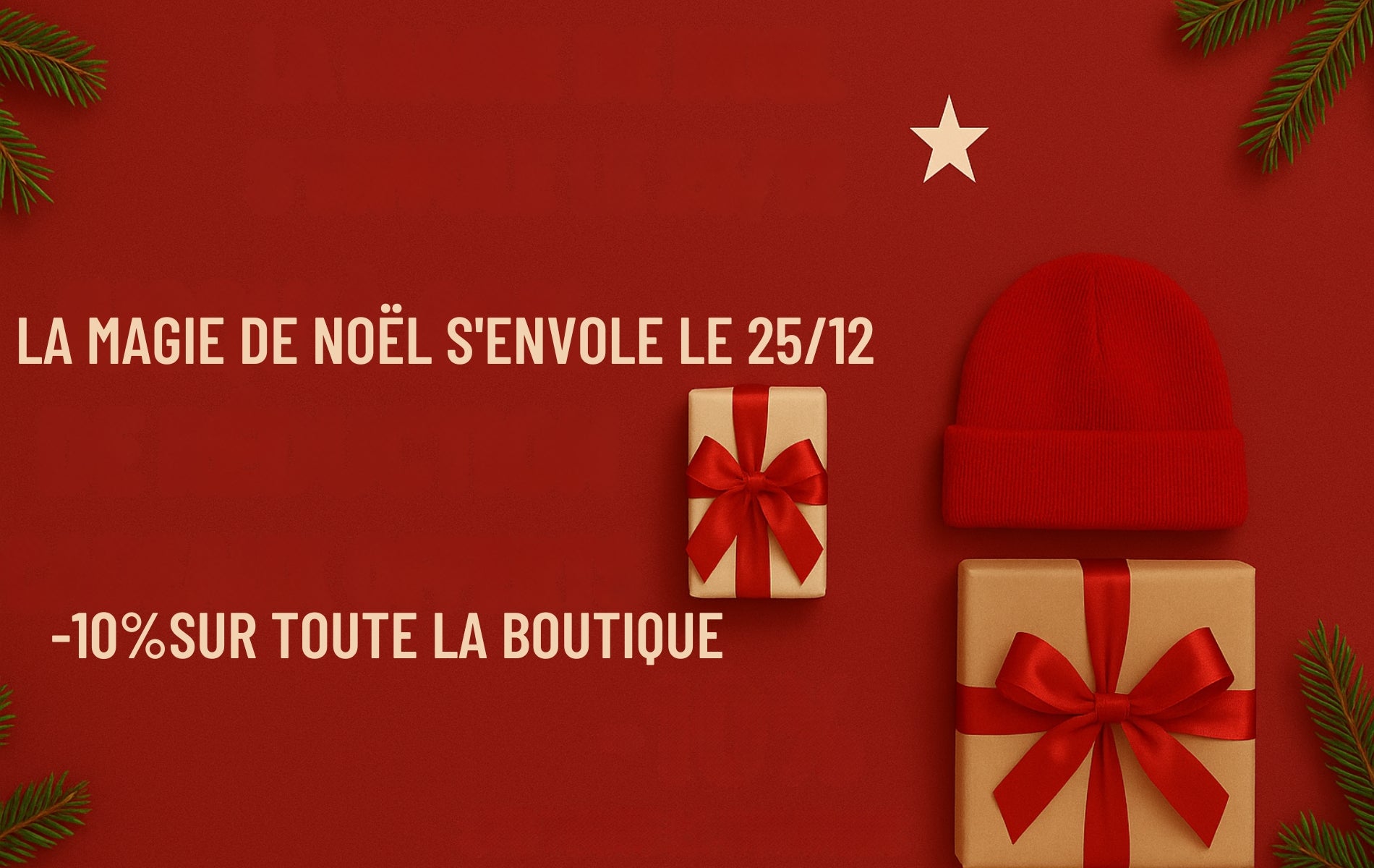 LA_MAGIE_DE_NOEL_S_ENVOLE_LE_2512